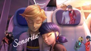 Senoritã️ | Adrienette | Ladynoir ️| Marichat | Song | MIRACULOUS AMV