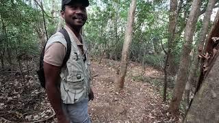 Ankarana National Park Suspension bridge