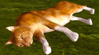 Симулятор КОШЕК #1 Рыжий котик против злых котов в Ultimate Cat Simulator с Кидом на пурумчата