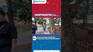 Pramono Kaget Masih Ada Hutan Kota Luas di Jakarta Barat