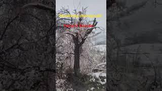 Wrath of nature... #snow #naturaldisaster #globalwarming