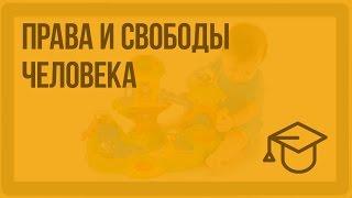 Права и свободы человека. Видеоурок по обществознанию 9 класс