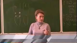 Лечение суставов. Школа ДЭНАС