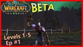 The chillest World of Warcraft Classic BETA gameplay, ever. [CB 1]