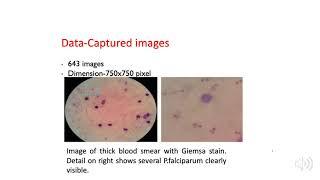 A Web-Based Intelligence Platform for Diagnosis of Malaria in Thick Blood Smear Images: A Case fo...