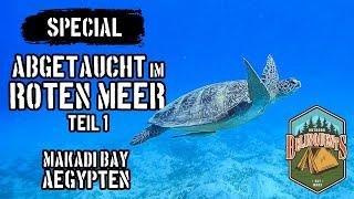 Special: Abgetaucht im Roten Meer  Die Makadi Bay ️ Ägypten   [Teil 1]