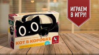 КОТ В КОРОБКЕ | играем в настольную игру