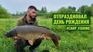 Отпраздновал день рождения на водоёме | ловля карпа | carp fishing | карпфишинг