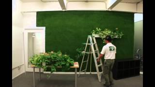 Kiwi Landing Pad Refresh Green Wall Timelapse