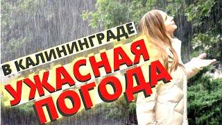 Ужасная погода в Калининграде/Переезд/Климат на Балтийском море/