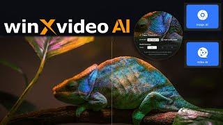 How to upscale 720p to 4K   WinX AI video enhancer