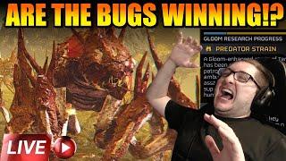 Helldivers 2 - NEW GLOOM PREDATOR UPDATE!!! Insane Numbers? Testing New Spawns & Best Loadouts