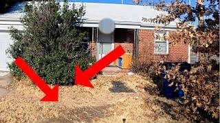 Homeowner SHOCKED We Found 2 HIDDEN Sidewalks That Had Been Covered For Years