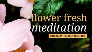 Flower Fresh Meditation | Guided by Thich Nhat Hanh | #mindfulness