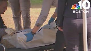 Remains of unidentified person exhumed for DNA testing in Wrentham