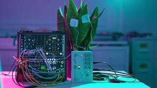 Plant plays ambient music