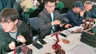 At Sivga, the enchantment of headphones and the revelry of music unite.