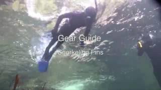 Snorkelling Fins - Wettie TV- 'GEAR GUIDE'