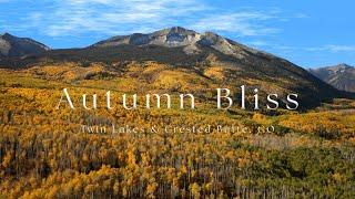 Autumn Bliss in 8K - Colorado