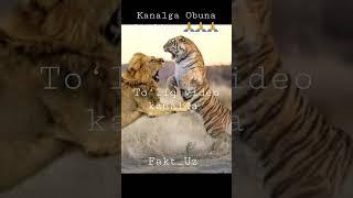 Dunyodagi eng qiziqarli faktlar #dunyodagi #eng #qiziqarli #faktlar @music_islife..