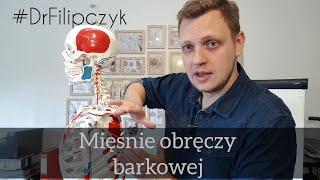 #DrFilipczyk - Mięśnie obręczy barkowej