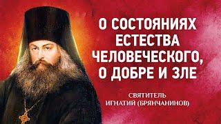 18 О состояниях естества человеческого, о добре и зле — Аскетические опыты Т2 — Игнатий Брянчанинов