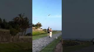සරුංගල් | Kites 🪁
