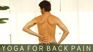 Yoga For Back Pain | Tim Senesi Yoga