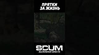 ИГРА В ПРЯТКИ #scum #скам #pvp #moments #scumpvp #shorts #выживание