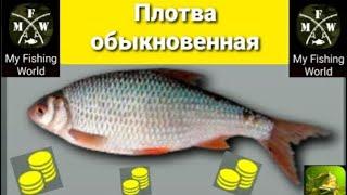 My Fishing World Плотва ловим одну за одной для ежедневных заданий