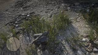 Red Dead Redemption 2 - Common bulrush