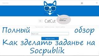 Cat-Cut обзор+как создать задание на socpublic и зарабатывать на пасиве