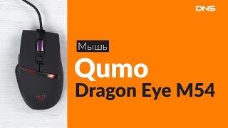 Распаковка мыши Qumo Dragon Eye M54 / Unboxing Qumo Dragon Eye M54