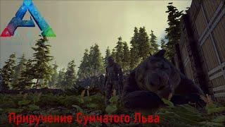 ARK Official PvE Приручение Сумчатого Льва