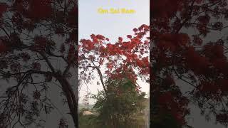 apan Mithila #motivation