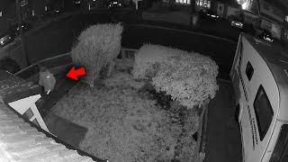 Poltergeist Activity You Can’t UNSEE… CRAZY Person Returns!