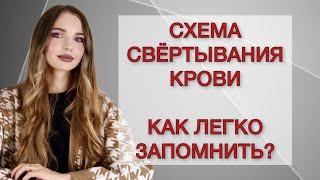 Свёртывание крови. Как легко запомнить каскад свёртывания?