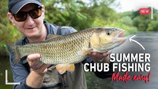 Summer Chub Fishing Made Easy