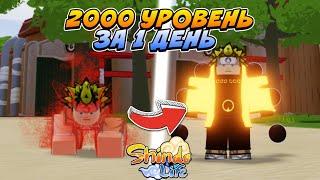 Shindo Life - Как Быстро Прокачать ХВОСТАТОГО в Шиндо Лайф  Roblox Shinobi Life 2