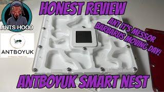 Honest Review of AntboyUK Smart Nest, and it’s Messor Barbarus Moving Day!