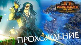 Берег Вампиров - Прохождение кампании Total War: WARHAMMER 2