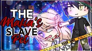 The Mafia’s Slave Pet || GachaLife MiniMovie || GLMM ||