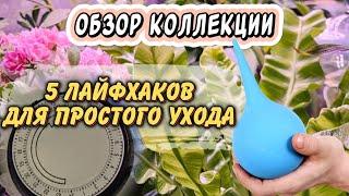 7 лайфхаков для простого ухода за комнатными растениями. Обзор цветочных стеллажей