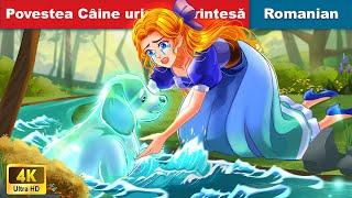 Povestea Câine uriaș și Prințesă  Sad story abouts Giant Dog & Princess  @woafairytalesromanian