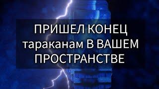 ЛЕГКО ИЗВАВИТЬСЯ ОТ  ВРАГОВ  В ВАШЕМ ПРОСТРАНСТВЕ