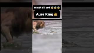This Is Why You Never Steal From Lions... #lion #aura #edit