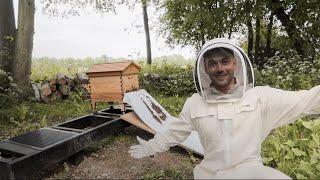 WE HAVE OUR BEES, SWARM COLLECTION | Ali Gordon & Lydia Millen