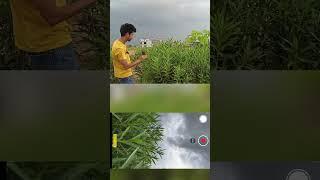 Cinematic Shot With Mobile without Gimbal