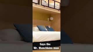 Mr. Munchkins man #funny #foxs #fennec