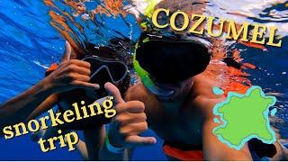 Cozumel mexiko snorkeling trip - devilfish, starfish (THE KING SHARK)